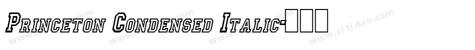 Princeton Condensed Italic字体转换